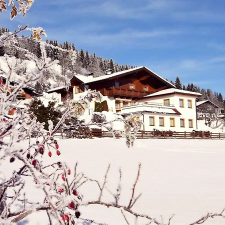 Steger Maria דירה *