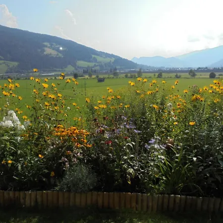 Apartmán Steger Maria Flachau