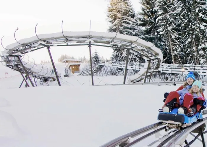 Apartmán Steger Maria Flachau