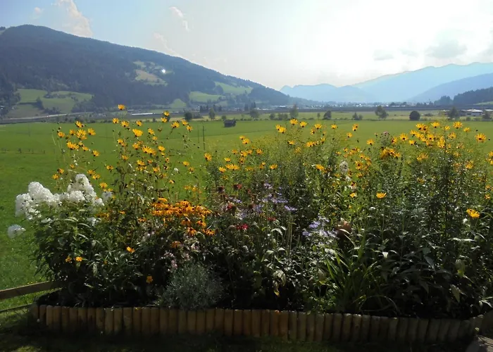 Apartmán Steger Maria Flachau